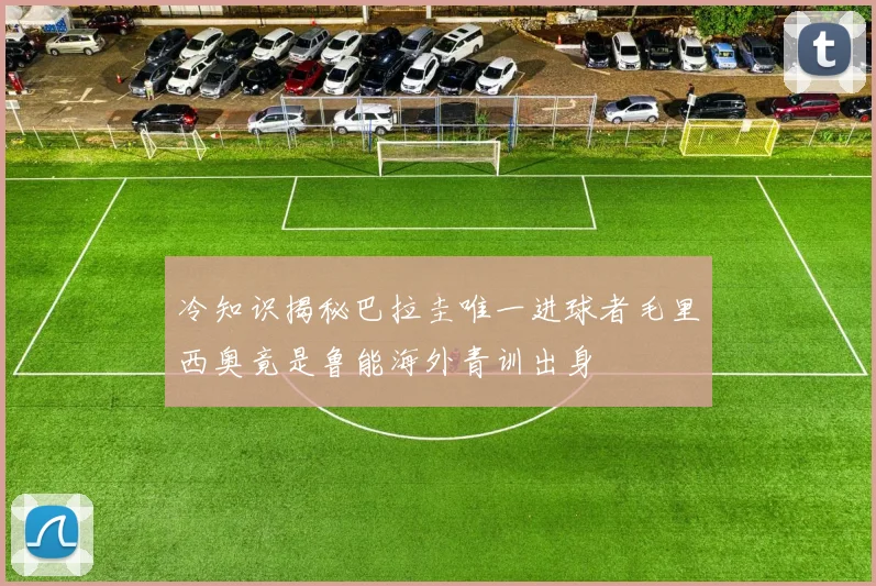 冷知识揭秘巴拉圭唯一进球者毛里西奥竟是鲁能海外青训出身