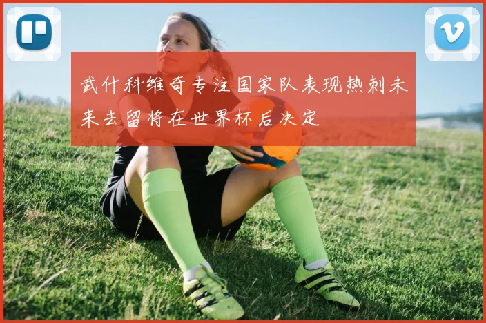 武什科维奇专注国家队表现热刺未来去留将在世界杯后决定